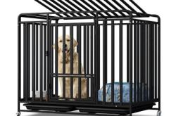 赤峰定做狗籠電話號(hào)多少號(hào)