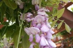 赤峰紫騰賓館電話號(hào)碼多少