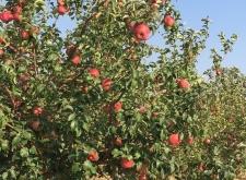 赤峰寧城萬友廚衛(wèi)電話號(hào)碼