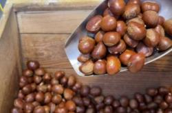 赤峰板栗團(tuán)購(gòu)平臺(tái)電話號(hào)碼