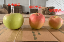 赤峰寧城嘎啦果園電話號碼查詢