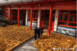 政宏牛倌飼料赤峰代理電話地址