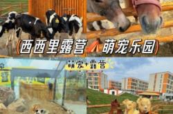 赤峰萌寵寵物樂園電話地址查詢