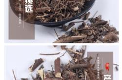 赤峰醉魚草基地地址電話號碼