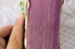 赤峰棕墊子廠電話號(hào)碼多少