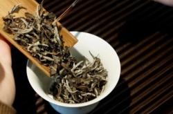 赤峰麗景茶館電話多少號(hào)啊