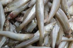 赤峰市水產(chǎn)超市電話號(hào)碼