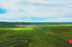 赤峰紹根疫情防控電話號碼