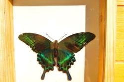 赤峰景點(diǎn)推廣電話是多少號