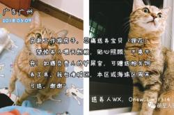 赤峰免費(fèi)領(lǐng)養(yǎng)寵物店電話號碼