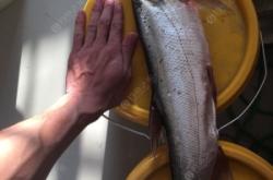 赤峰紅山魚庫在哪里啊電話號碼