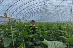 赤峰市養(yǎng)殖大棚出售電話號碼