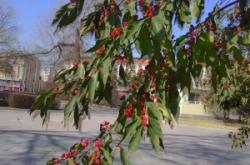 赤峰敖漢劇院官網(wǎng)電話號碼