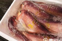 赤峰低價(jià)海鮮貨源批發(fā)電話號(hào)碼