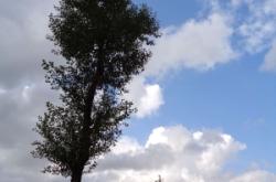 赤峰古都河景區(qū)電話多少號(hào)