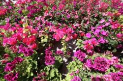 赤峰卡爾希樂園電話多少號