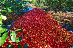 赤峰林西兒童公園電話(huà)號(hào)碼