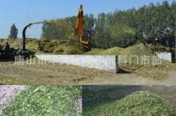 赤峰玉米青儲回收公司電話號碼