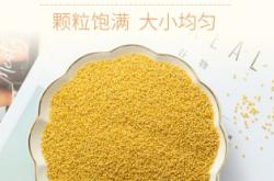 赤峰原生態(tài)小米售后電話(huà)號(hào)碼