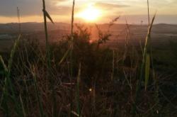 赤峰市元寶山賣(mài)房電話號(hào)碼