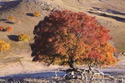 赤峰依潔百貨電話號碼