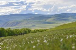 赤峰到東山的拼車電話號碼