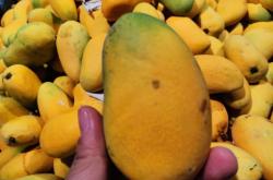 赤峰王胖子水果超市電話號碼