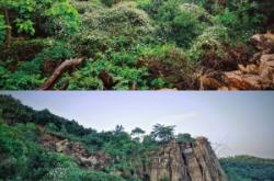 赤峰交友脫單平臺官網(wǎng)電話號碼