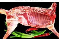 赤峰進口白條羊肉批發(fā)電話號碼