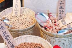 赤峰擺地?cái)偟牡胤?><span>便民電話</span></a></div><div   id=