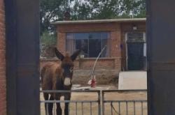 赤峰山地自行車翻新電話地址
