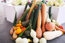 赤峰碩果雙胞胎媽媽電話(huà)號(hào)碼