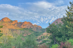 赤峰林秀君診所電話地址查詢