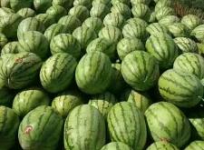 內(nèi)蒙赤峰潤(rùn)滑油代理電話號(hào)碼