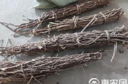 赤峰市收購甘草的電話