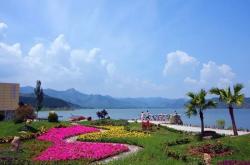 赤峰藍(lán)世界水族箱電話號(hào)碼