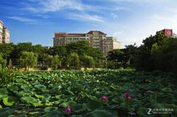 赤峰荷塘盛宴婚宴電話多少號