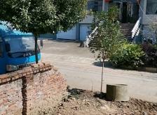 赤峰壓緊輪生產(chǎn)商電話號碼