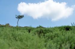 赤峰到中旗拼車電話號(hào)碼