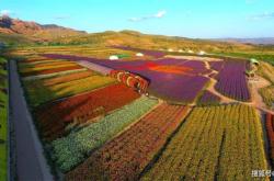 赤峰土窯烤肉海貝爾店電話號碼