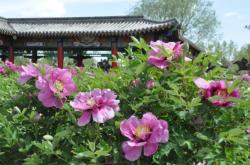 赤峰寧城移動(dòng)婚宴電話號(hào)碼查詢