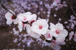 赤峰文普圖書城電話號碼