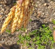 赤峰喀喇沁繪本館電話號(hào)碼