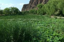 赤峰紅山區(qū)送菜上門電話號(hào)碼