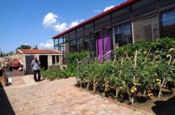 赤峰紅山區(qū)發(fā)傳單電話號碼