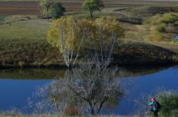 內(nèi)蒙赤峰毛紡廠電話號碼多少