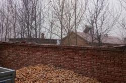 赤峰市老張救助中心電話號碼