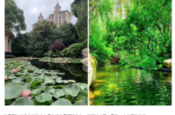 赤峰星傲整形前臺電話號碼