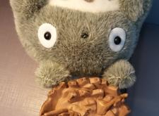 赤峰龍貓買(mǎi)賣電話號(hào)碼是多少