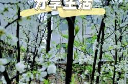 赤峰果園菜園電話號碼多少號